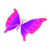 L̔閧Ɖ\E 